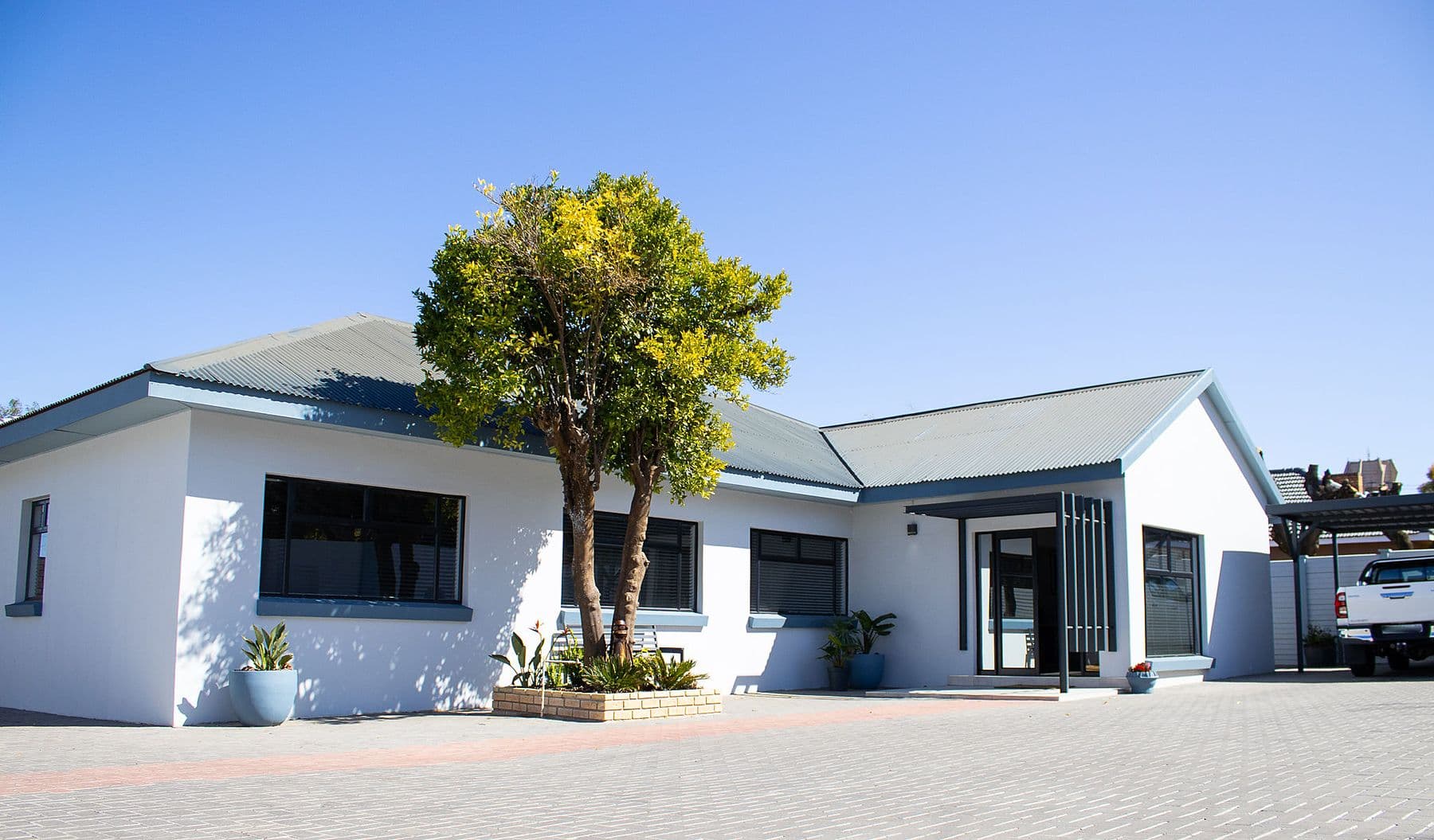 The units and courtyard tree